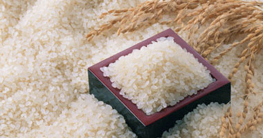 "التموين" تضخ كميات من الأرز المحلى بسعر 4.5 جنيه للكيلو بمنافذ الوزارة