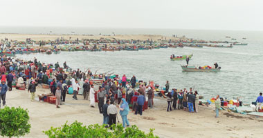 صرف إعانات عاجلة للصيادين فى بحيرة البردويل بشمال سيناء 
