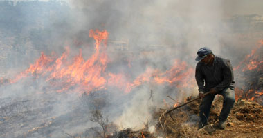 إغماءات طالبات مدرسة إعدادية بأسيوط نتيجة استنشاق أدخنة حرق مخلفات زراعية