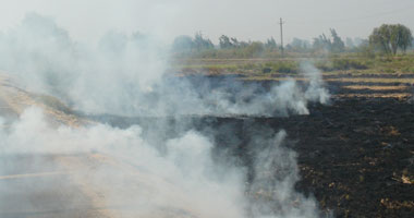 حرق 3 أفدنة زراعية بكفر الشيخ 