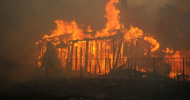 نفوق 87 ماشية فى حريق بمزرعة بسنورس 