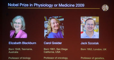 جائزة نوبل فى الطب تذهب إلى 3 باحثين أمريكيين