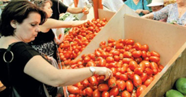 سعر الطماطم بسوق العبور 5 جنيهات