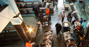 ارتفاع أسعار الأسماك المستوردة داخل سوق العبور
