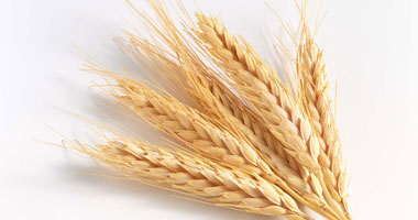رويترز: تجار قدروا مخزون مصر من القمح المحلى بسبعة ملايين طن