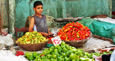 تباين أسعار الخضروات فى سوق العبور للجملة