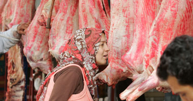 "التموين": خط ساخن للاستعلام عن منافذ بيع اللحوم بأسعار مخفضة