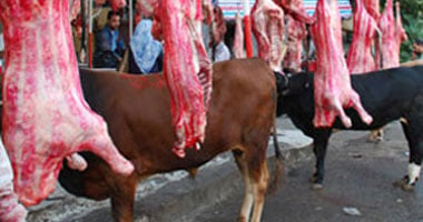 "الصحة" تشدد الرقابة على شوادر اللحوم لحماية المواطنين