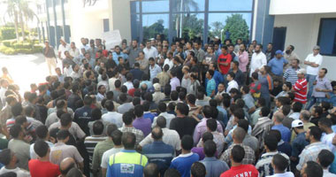 أعضاء نقابة سيراميكا كليوباترا العمالية بالسويس يحتجون لصرف الرواتب