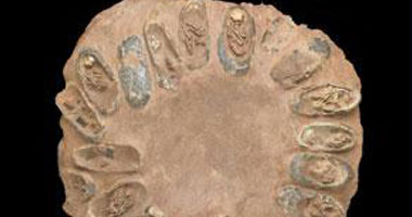 تقنية متطورة تظهر عمر حفرية هامة يرجع إلى 3.7 مليون عام