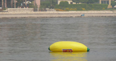  2000 بالونة موز تسبح فى النيل لأطفال السرطان