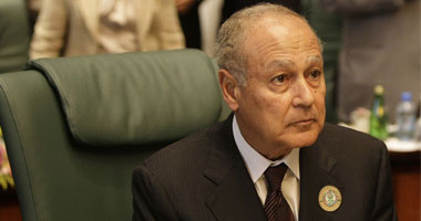 أمين "الجامعة العربية": مصر كانت تحتاج إلى التغيير لأن مبارك تخطى الـ83 عاما