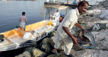 انتشال 12 طن أسماك نافقة بنهر النيل فى البحيرة