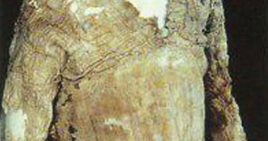 الشاب الفرعونى أول من ارتدى "السويت شيرت" فى العالم