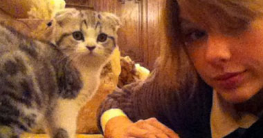 تيلور سويفت مع "قطتها" على "تويتر"