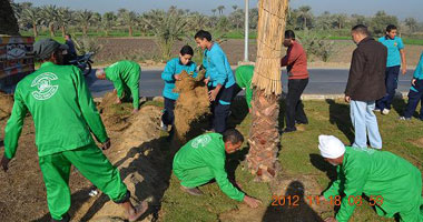 طلاب مدرستين بالفيوم يغرسون 6300 شجرة بمدخل المحافظة