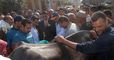 عابدين يترأس قافلة بيطرية تجوب مراكز كفر الشيخ 