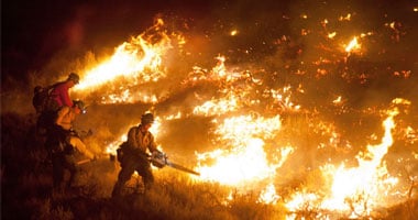 حرائق الغابات فى إقليم سيبيريا الروسى تلتهم أكثر من 816،5 هيكتار