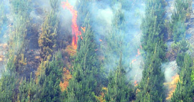 اتساع نطاق حرائق الغابات فى سيبيريا