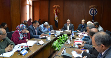 "تنفيذى السويس": إعلان الطوارئ استعدادا للاستفتاء على الدستور 