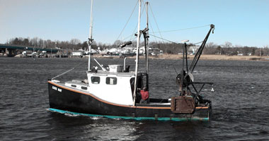 ضبط 15 قارب صيد بدون ترخيص فى الدفرسوار بالإسماعيلية