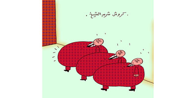 كروش شرم الشيخ‏