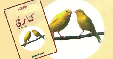 صدور مجموعة "كنارى" للكاتب أحمد الخميسى