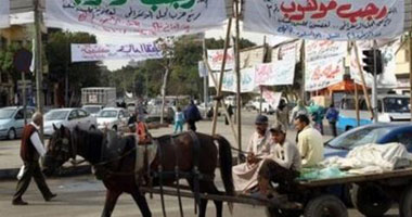 عربجى يتهم "كهرباء شبرا" بالتسبب فى صعق حصان