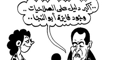 صلاحيات فايزة