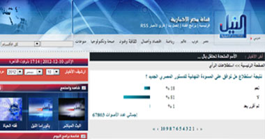 استطلاع "النيل للأخبار":81 % من المواطنين يصوتون بـ"لا" على الدستور