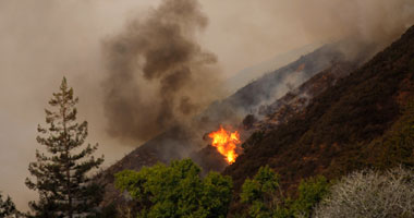 حريق غابات ضخم فى جنوب فرنسا قرب الحدود الاسبانية