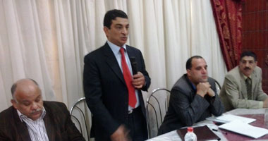 أستاذ علوم سياسية: مواد الدستور تحتاج مجلس نواب قويا لتفعيلها 