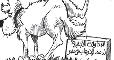 الدعم الأجنبى للأرهاب فى مصر