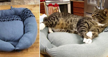 بالصور.. اصنع سريرا دافئا لحيوانك الأليف من ملابسك القديمة بسهولة