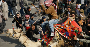 مجمع البحوث الإسلامية يطالب بمنع المصادمات بين المواطنين