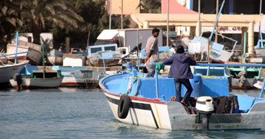 العاملون بالمراكب السياحية.. مشردون تحت الطلب.. 11 ألفاً بلا تأمين ولا ضمانات تحميهم من سطوة ملاك المركب.. ونقيب العاملين: القوانين ظالمة