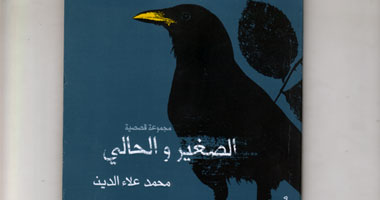 "الصغير الحالى" مجموعة قصصية جديدة عن "ميريت"
