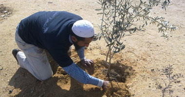 بالصور شباب مبادرة "ازرع شجرة مثمرة" تبدأ بـ 100 شجرة.. والزرع مستمر