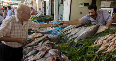 الزراعة: طرح 300 طن من أسماك البلطى والبورى بأسعار أقل من السوق