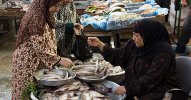 أول دورة لبائعات الأسماك على مستوى الجمهورية بكفر الشيخ 