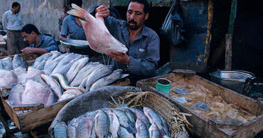 ننشر أسعار الأسماك اليوم فى الأسواق.. والبلطى يسجل 19 جنيها