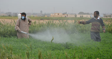 الزراعة: دورات تدريبية للمزارعين بـ6 محافظات لترشيد استهلاك المبيدات 