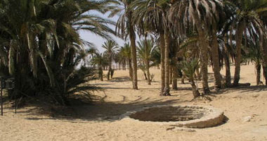 رئيس"آثار سيناء": المناطق الآثرية بجنوب سيناء تحتاج تمويلا وتبحث عن زائرين