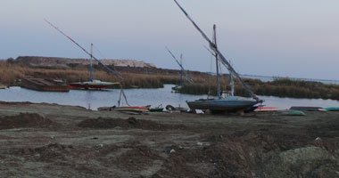 "الزراعة" تشن حملات لإزالة التعديات على بحيرة البرلس لزيادة الإنتاج السمكى