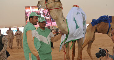 "الجنادرية" يستعد لتنظيم أكبر سباق سنوى للهجن بالمنطقة العربية