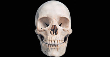 عامل أمريكى يعثر على جمجمة بشرية يبلغ عمرها 3000 عام للسكان الأصليين بأمريكا