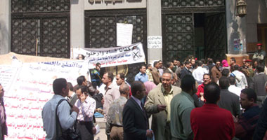  متظاهرو الضرائب يرفعون صورة منيرة القاضى بزى الفريق "عنان"