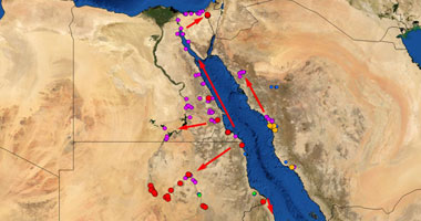 "الفاو" تحذرمن تهديد الجراد للمحاصيل الإستراتيجية المصرية..الزراعة: 4 أسراب من أشرس الأنواع تخترق الحدود.. وأخرى ستدخل خلال أيام.. وفرق المقاومة تستعد بـ55 قاعدة دفاعية