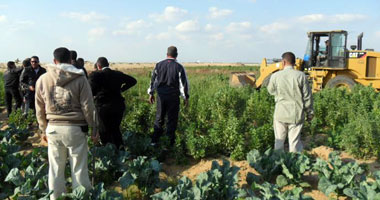 نائب يطالب "الزراعة" بتطبيق حالة الطوارئ فى العيد لحماية الأراضى