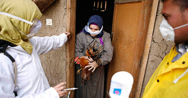 احتجاز 3 أشخاص للاشتباه فى إصابتهم بأنفلونزا الطيور بالمنيا 